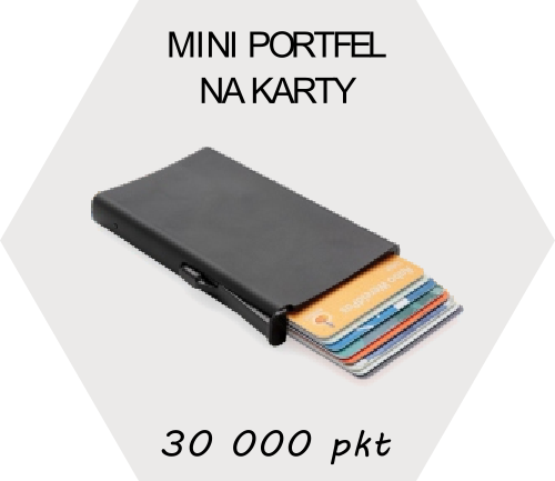 Mini-portfel