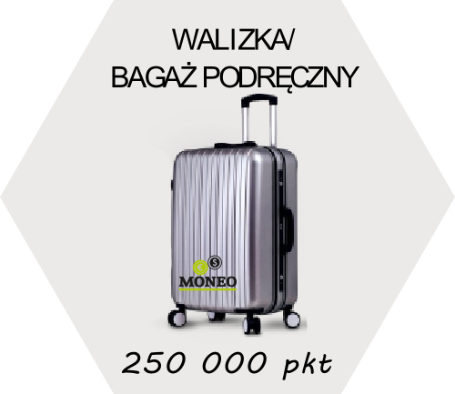 Walizka